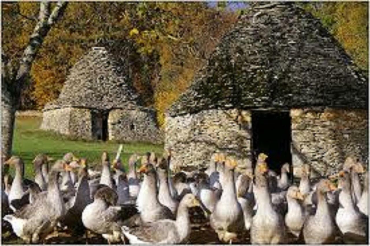 Villa Les pruniers de la cipière Peyzac-le-Moustier Esterno foto