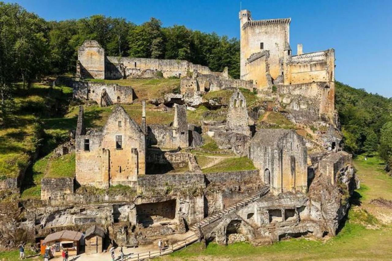Villa Les pruniers de la cipière Peyzac-le-Moustier Esterno foto